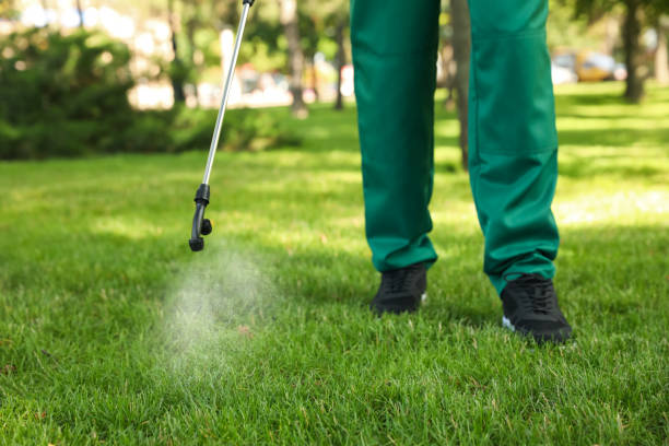 Best Flea Control Services  in Bel Air South, MD