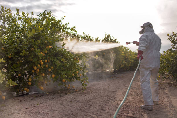 Trusted Bel Air South, MD Pest Control Experts