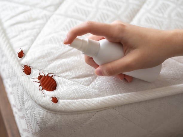 Best Affordable Pest Control Services  in Bel Air South, MD