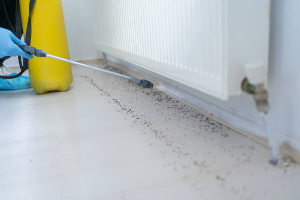  Bel Air South, MD Pest Control Pros