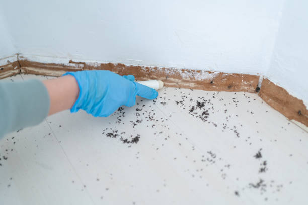 Best Pest Prevention Services  in Bel Air South, MD